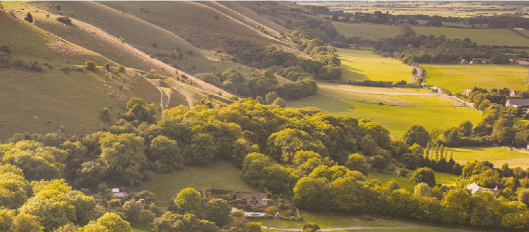 the south downs